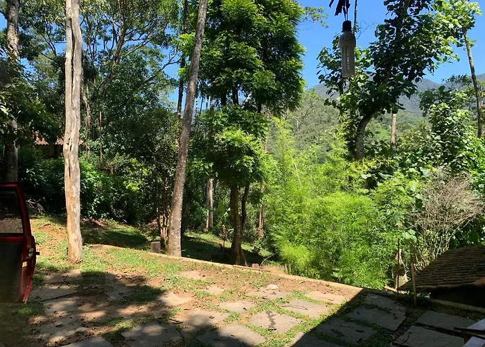 Casa Araucaria 2